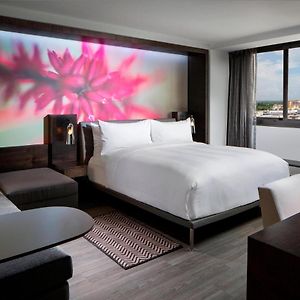 Design Guest Room 1 King